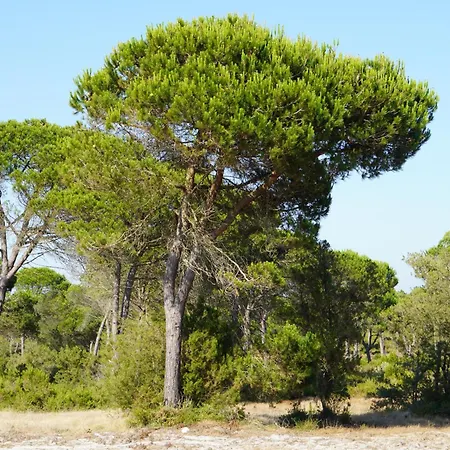 Villa Casa Do Mural - Sesimbra, Lagoa De Albufeira E Aldeia Do Meco *