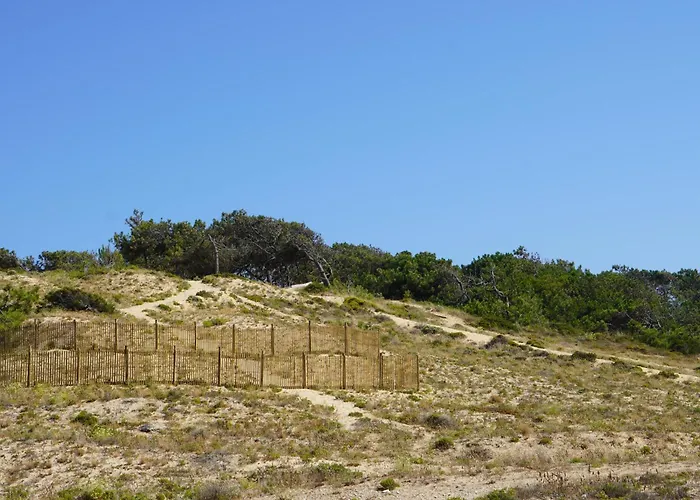 빌라 Casa Do Mural - Sesimbra, Lagoa De Albufeira E Aldeia Do Meco 세심브라