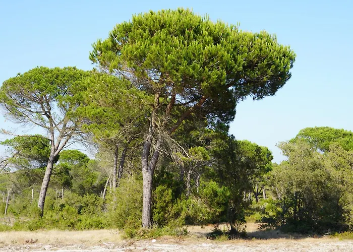 빌라 Casa Do Mural - Sesimbra, Lagoa De Albufeira E Aldeia Do Meco *